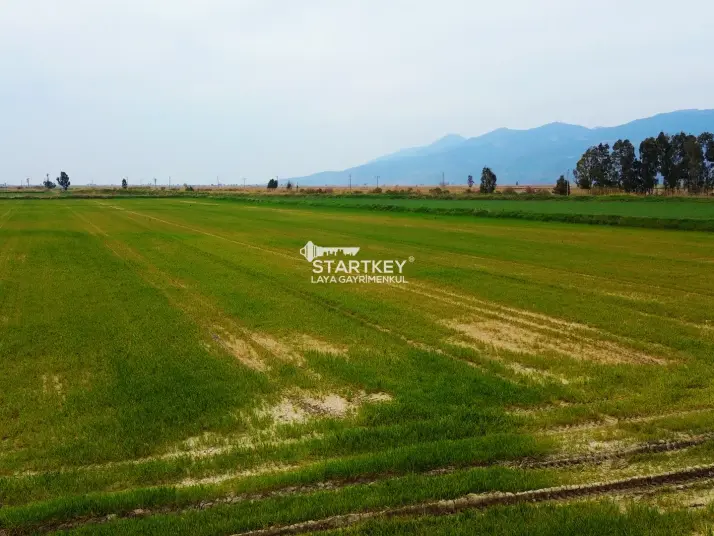 GÜLLÜBAHÇE&#38;#39;DE 37.085 M2 SATILIK TARLA