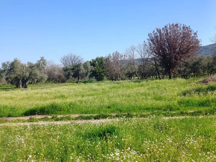 SATILIK TEK TAPU ÇAPAK MAH. TORBALI