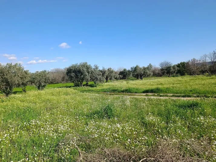 SATILIK TEK TAPU ÇAPAK MAH. TORBALI