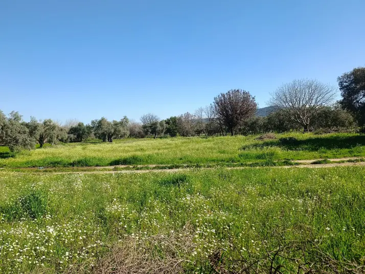 SATILIK TEK TAPU ÇAPAK MAH. TORBALI