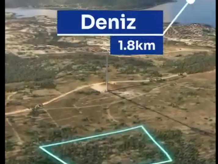 ÇEŞME REISDERE&#38;#39;DE 17919 M2 ZEYTIN AĞAÇLI SATILIK TARLA