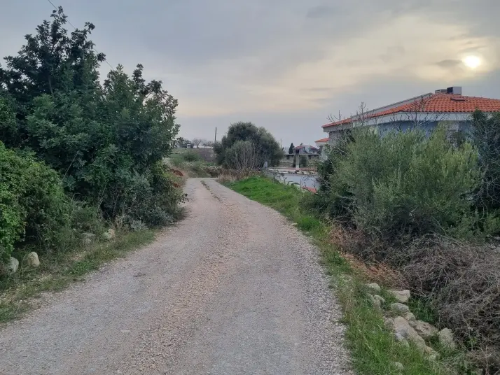 ÇEŞME REISDERE&#38;#39;DE 17919 M2 ZEYTIN AĞAÇLI SATILIK TARLA