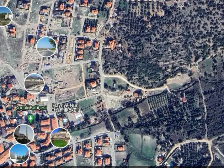 ÇEŞME REISDERE&#38;#39;DE 17919 M2 ZEYTIN AĞAÇLI SATILIK TARLA