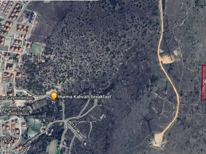 ÇEŞME REISDERE&#38;#39;DE 17919 M2 ZEYTIN AĞAÇLI SATILIK TARLA