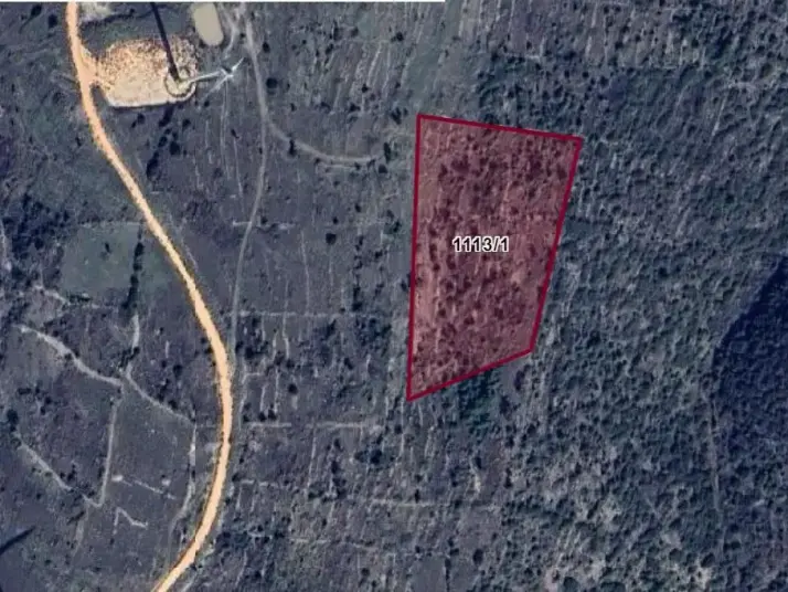 ÇEŞME REISDERE&#38;#39;DE 17919 M2 ZEYTIN AĞAÇLI SATILIK TARLA