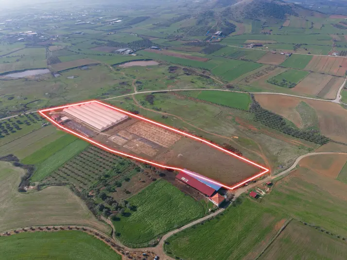 İZMİR BAYINDIR ÇINARDİBİ&#39;NDE MÜSTAKİL TAPULU 1330 M2 BAHÇE