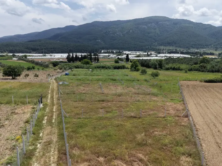 İZMİR DEĞİRMENDEREDE SATILIK 407 M2 TAPULU YATIRIMLIK MANZARALI BAHÇE