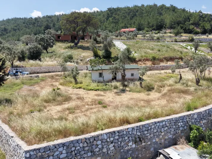 ÇATALCADA SATILIK 624 M2 TAPULU KÖYİÇİ TAŞ DUVAR ÇEVRİLİ 90 M2 NUMARATAJLI EV