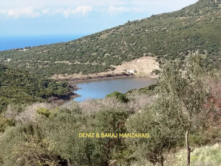 15 dönüm -deniz &#38; gölet manzaralı - 250 ağaçlı zenginlik