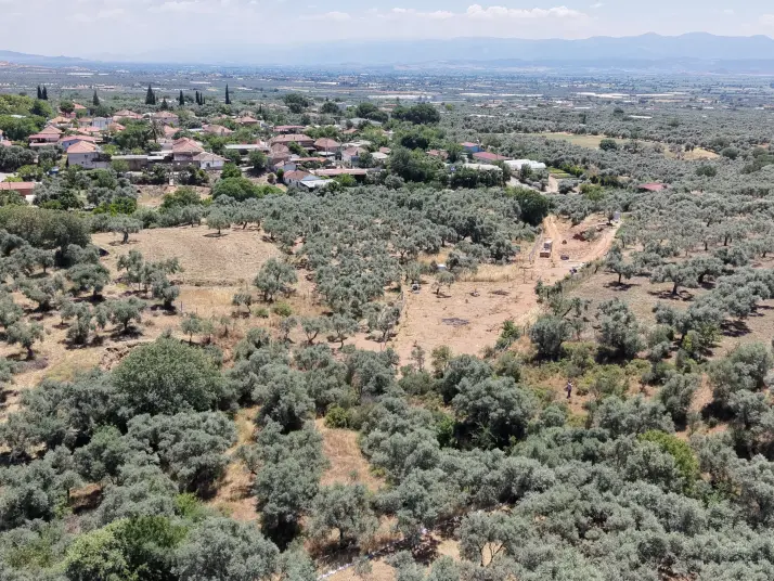 BAYINDIR KIZILCAOVADA SATILIK TEKTAPU KÖYÜN DİBİNDE 2.133 M2 HESAPLI ZEYTİNLİK
