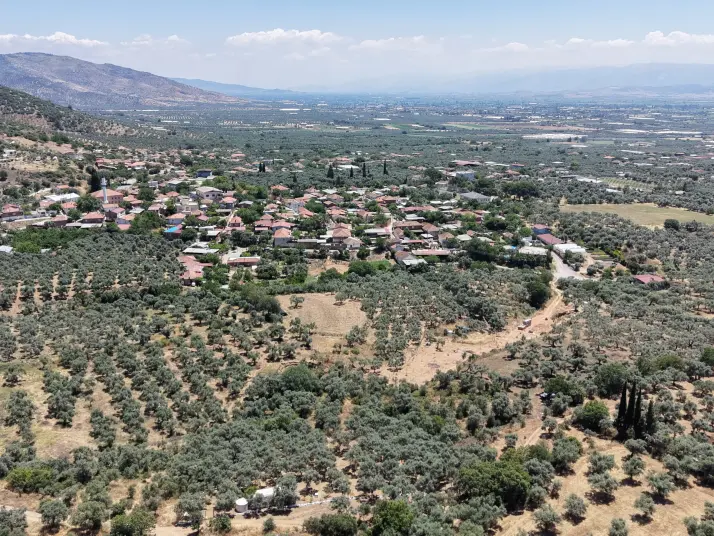 BAYINDIR KIZILCAOVADA SATILIK TEKTAPU KÖYÜN DİBİNDE 2.133 M2 HESAPLI ZEYTİNLİK