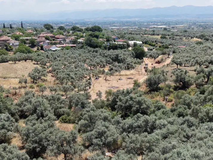 BAYINDIR KIZILCAOVADA SATILIK TEKTAPU KÖYÜN DİBİNDE 2.133 M2 HESAPLI ZEYTİNLİK