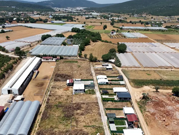  ATAKÖY&#39;de 320 m2 KÖK HİSSE TAPULU TARLA
