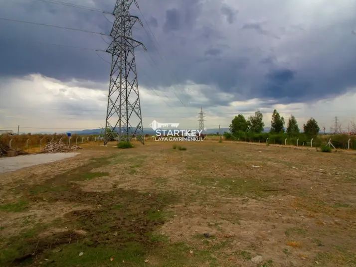 SAZLI&#39;DA İMARLI ZEYTİNLİK, BESİ ÇİFTLİĞİ VE TAŞ EVLİ FIRSAT