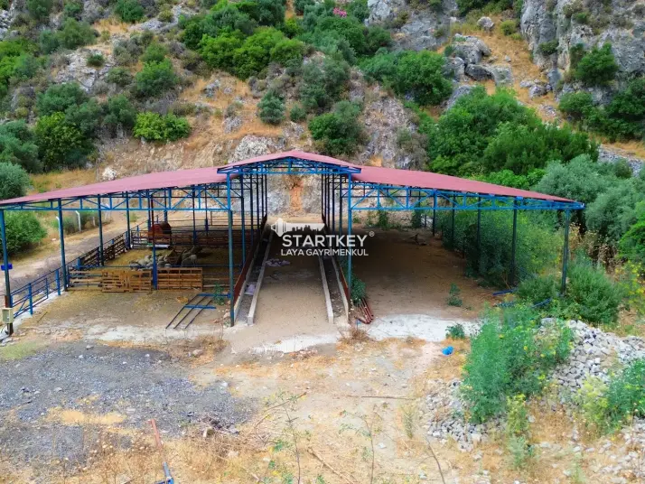 SAZLI&#39;DA İMARLI ZEYTİNLİK, BESİ ÇİFTLİĞİ VE TAŞ EVLİ FIRSAT