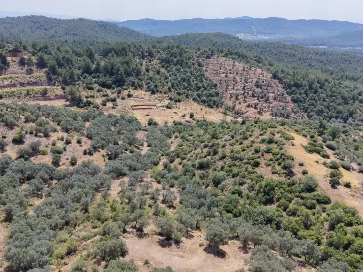 İZMİR YENİKÖYDE SATILIK TEKTAPU 9.050 M2 ANAYOLA KÖYE YAKIN KELEPİR ZEYTİNLİK