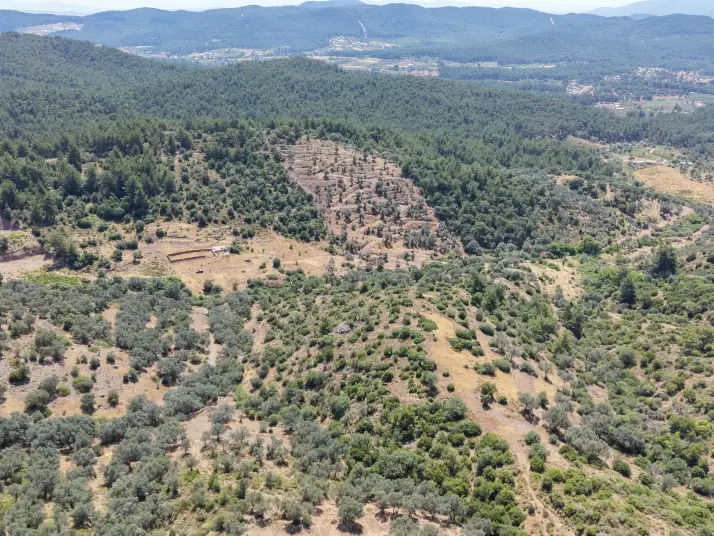 İZMİR YENİKÖYDE SATILIK TEKTAPU 9.050 M2 ANAYOLA KÖYE YAKIN KELEPİR ZEYTİNLİK