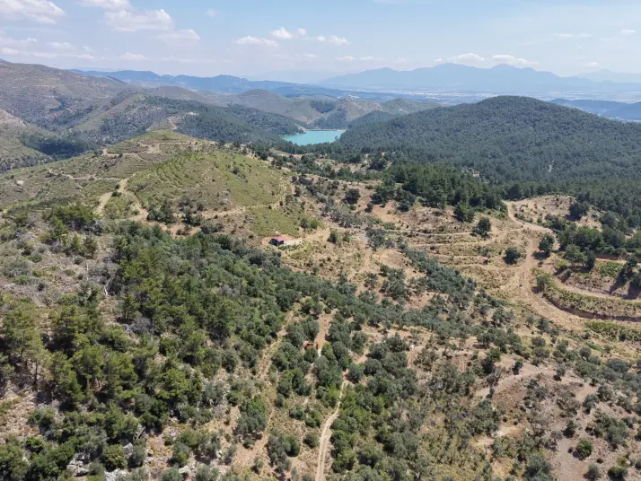 İZMİR YENİKÖYDE SATILIK TEKTAPU 9.050 M2 ANAYOLA KÖYE YAKIN KELEPİR ZEYTİNLİK