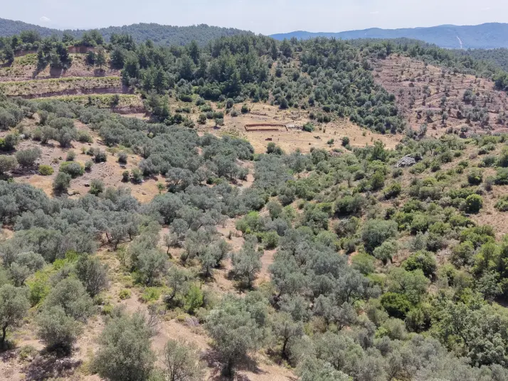 İZMİR YENİKÖYDE SATILIK TEKTAPU 9.050 M2 ANAYOLA KÖYE YAKIN KELEPİR ZEYTİNLİK