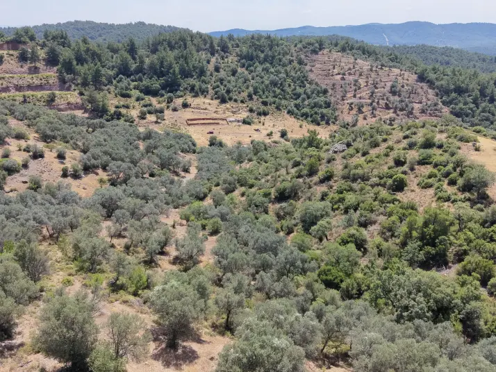 İZMİR YENİKÖYDE SATILIK TEKTAPU 9.050 M2 ANAYOLA KÖYE YAKIN KELEPİR ZEYTİNLİK