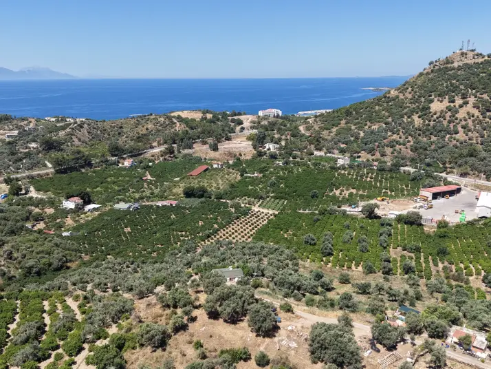 İZMİR ÖZDEREDE SATILIK DENİZ MANZARALI TEKTAPU 1.961 M2 YATIRIMLIK BAHÇE