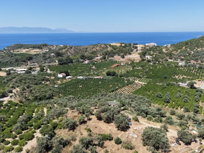 İZMİR ÖZDEREDE SATILIK DENİZ MANZARALI TEKTAPU 1.961 M2 YATIRIMLIK BAHÇE