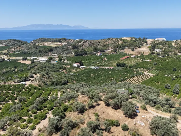 İZMİR ÖZDEREDE SATILIK DENİZ MANZARALI TEKTAPU 1.961 M2 YATIRIMLIK BAHÇE