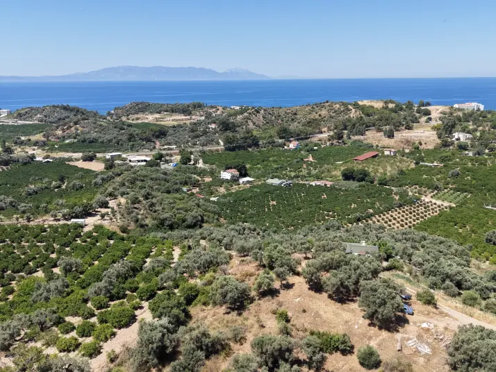 İZMİR ÖZDEREDE SATILIK DENİZ MANZARALI TEKTAPU 1.961 M2 YATIRIMLIK BAHÇE