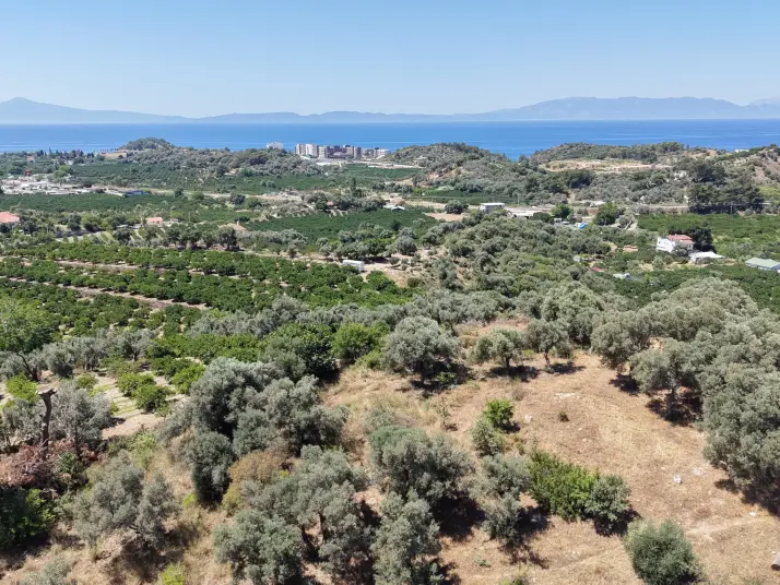 İZMİR ÖZDEREDE SATILIK DENİZ MANZARALI TEKTAPU 1.961 M2 YATIRIMLIK BAHÇE