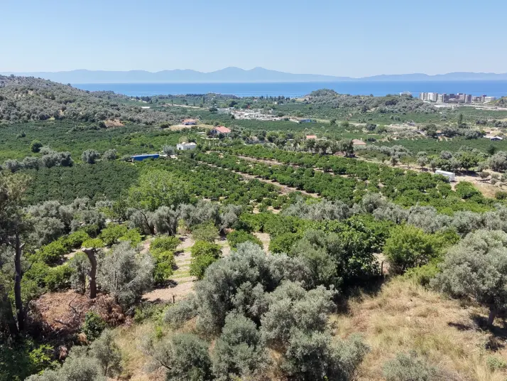 İZMİR ÖZDEREDE SATILIK DENİZ MANZARALI TEKTAPU 1.961 M2 YATIRIMLIK BAHÇE