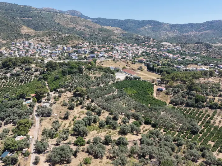 İZMİR ÖZDEREDE SATILIK DENİZ MANZARALI TEKTAPU 1.961 M2 YATIRIMLIK BAHÇE