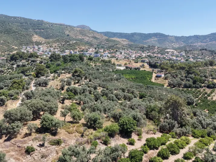 İZMİR ÖZDEREDE SATILIK DENİZ MANZARALI TEKTAPU 1.961 M2 YATIRIMLIK BAHÇE