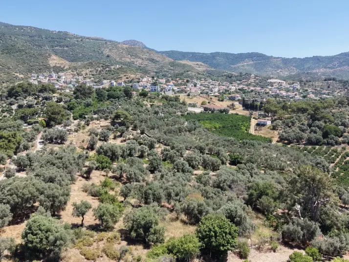 İZMİR ÖZDEREDE SATILIK DENİZ MANZARALI TEKTAPU 1.961 M2 YATIRIMLIK BAHÇE