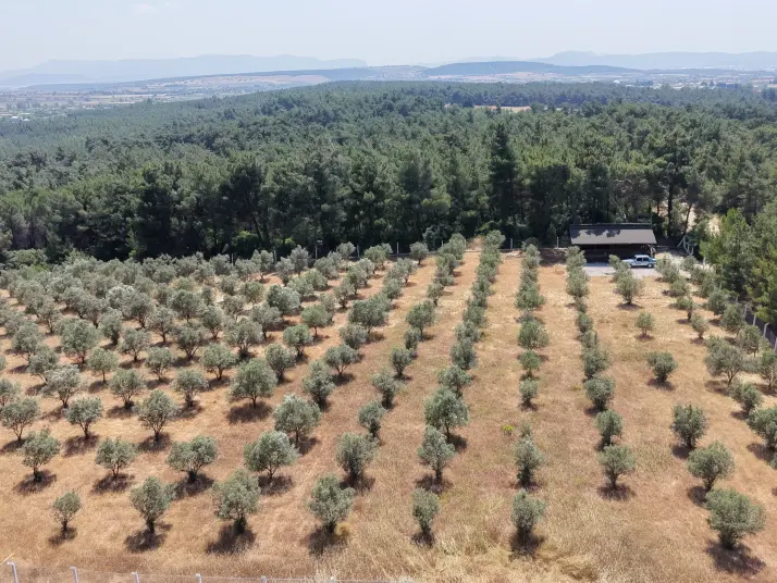 İZMİR YEŞİLKÖYDE SATILIK TEKTAPU 5.157 M2 HAVAALANINA YAKIN HARİKA ÇİFTLİK