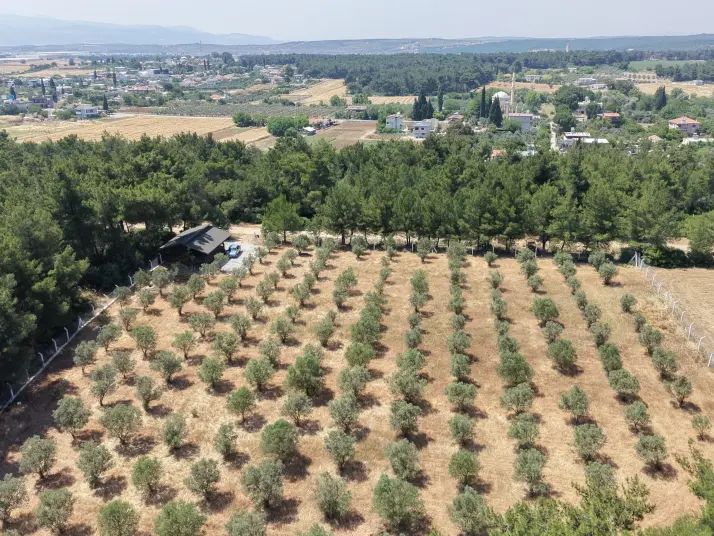 İZMİR YEŞİLKÖYDE SATILIK TEKTAPU 5.157 M2 HAVAALANINA YAKIN HARİKA ÇİFTLİK