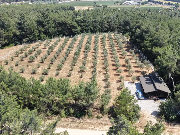 İZMİR YEŞİLKÖYDE SATILIK TEKTAPU 5.157 M2 HAVAALANINA YAKIN HARİKA ÇİFTLİK