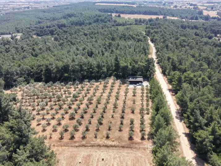 İZMİR YEŞİLKÖYDE SATILIK TEKTAPU 5.157 M2 HAVAALANINA YAKIN HARİKA ÇİFTLİK