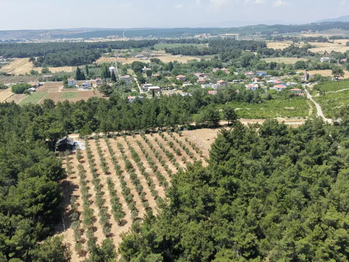 İZMİR YEŞİLKÖYDE SATILIK TEKTAPU 5.157 M2 HAVAALANINA YAKIN HARİKA ÇİFTLİK