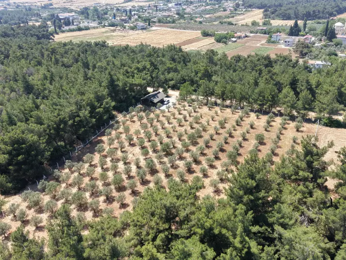 İZMİR YEŞİLKÖYDE SATILIK TEKTAPU 5.157 M2 HAVAALANINA YAKIN HARİKA ÇİFTLİK