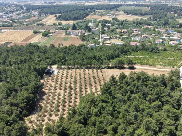 İZMİR YEŞİLKÖYDE SATILIK TEKTAPU 5.157 M2 HAVAALANINA YAKIN HARİKA ÇİFTLİK