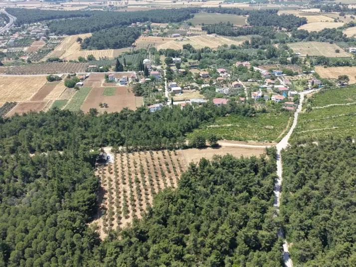 İZMİR YEŞİLKÖYDE SATILIK TEKTAPU 5.157 M2 HAVAALANINA YAKIN HARİKA ÇİFTLİK