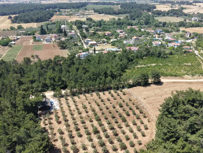 İZMİR YEŞİLKÖYDE SATILIK TEKTAPU 5.157 M2 HAVAALANINA YAKIN HARİKA ÇİFTLİK
