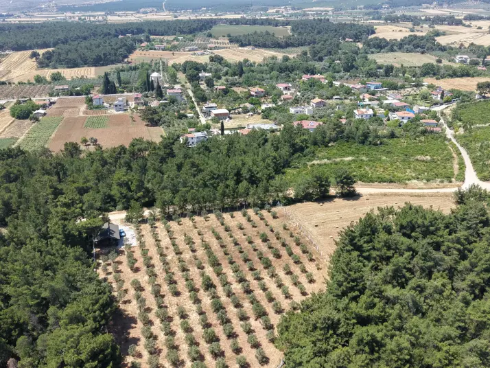 İZMİR YEŞİLKÖYDE SATILIK TEKTAPU 5.157 M2 HAVAALANINA YAKIN HARİKA ÇİFTLİK