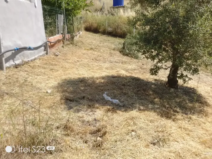 Buca Belenbaşı 426 m2 Satılık Düz Tarla