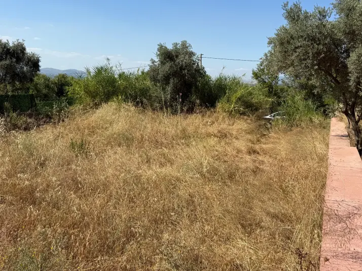 Emlak Atölyesinden | Ören&#39;de Satılık 420 m2 Yol Üzeri Bahçe