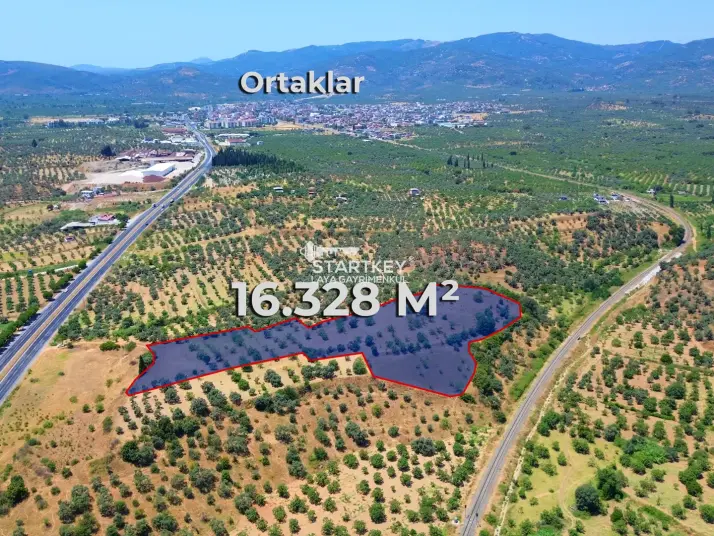 GERMENCİK&#39;TE YATIRIMA VE TARIMA UYGUN SATILIK İNCİR TARLASI