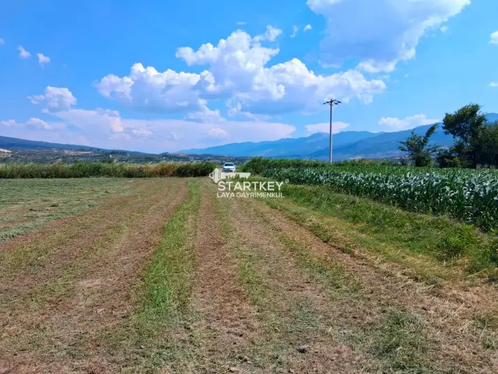 KUYUCAK AZİZABAT&#39;TA SATILIK VERİMLİ TARLA
