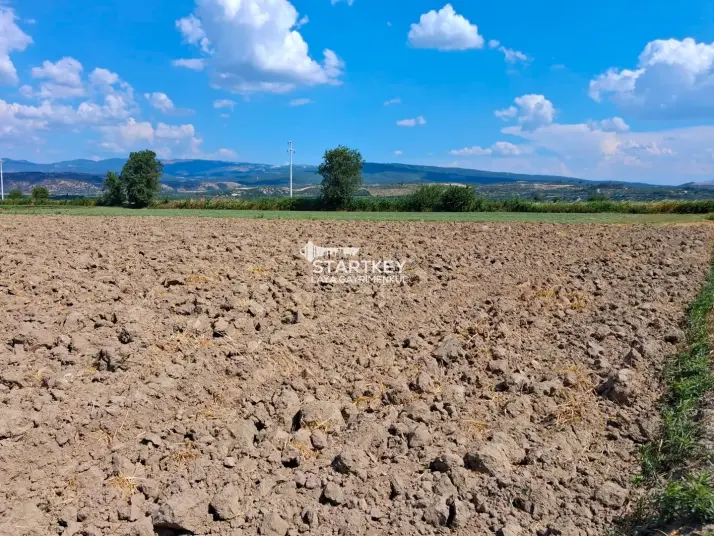 KUYUCAK AZİZABAT&#39;TA SATILIK VERİMLİ TARLA