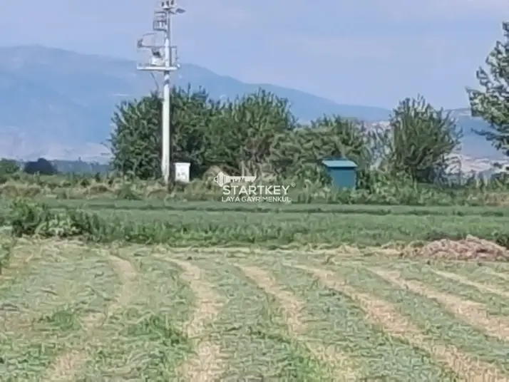KUYUCAK AZİZABAT&#39;TA SATILIK VERİMLİ TARLA