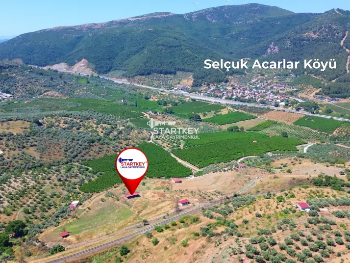 SELÇUK ACARLAR MEVKİİ&#39;NDE MUHTEŞEM MANZARALI VERİMLİ ZEYTİNLİK
